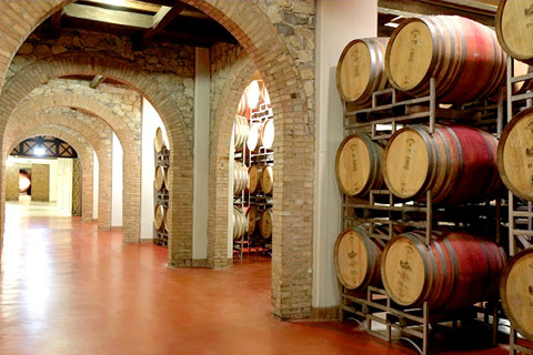 How to Improve a Wine Cellar’s Hygiene Using Polymer Floor Solutions