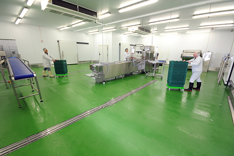 Antimicrobial Flooring Facts for the Food and Beverage Industry